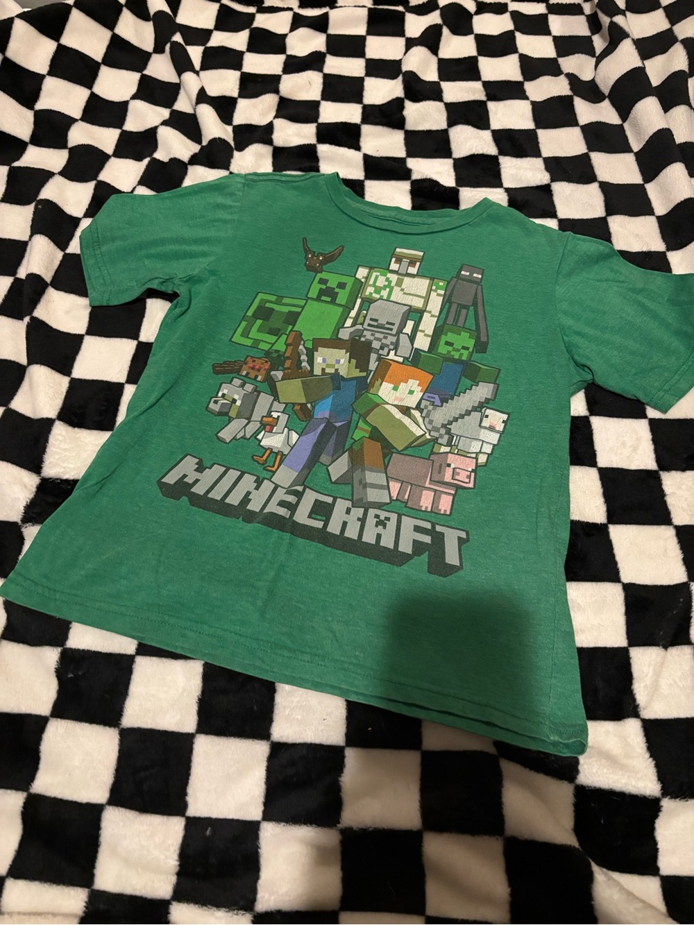 Free on bundle Boys large Minecraft shirt (logo started to crack)
